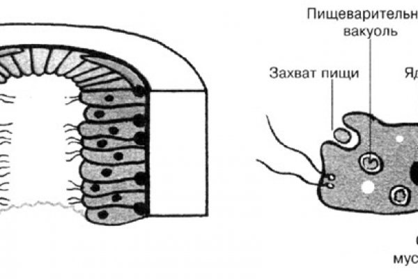 Ссылка на kraken at